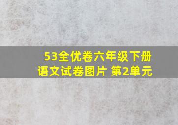 53全优卷六年级下册语文试卷图片 第2单元